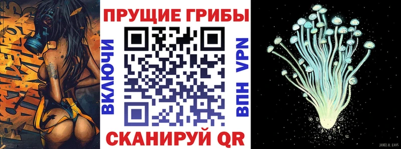 Галлюциногенные грибы мицелий  Судак 